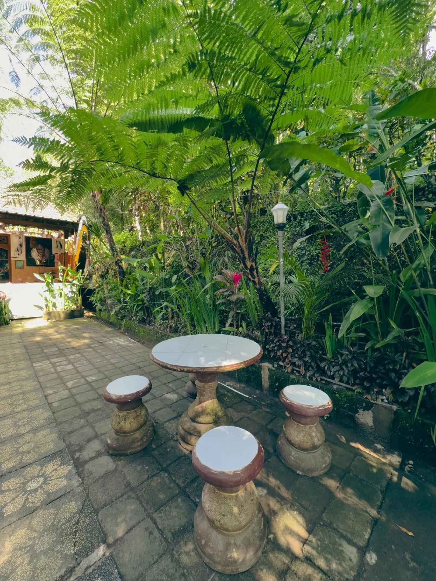Homestay Sente موندوغْ المظهر الخارجي الصورة